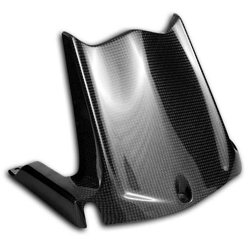 Rear Mud Guard Kawasaki ZX-10R 2011-2012  Carbon