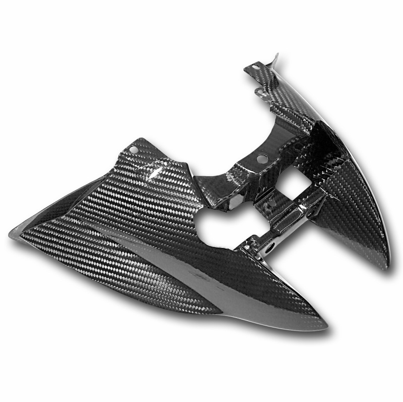 Rear Light Cover BMW K 1200/ 1300 S 04-11 Carbon Ilmberger
