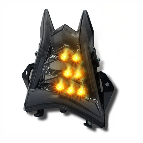 LED-tail-light + indicators BMW S 1000 RR 09-12 light smoke